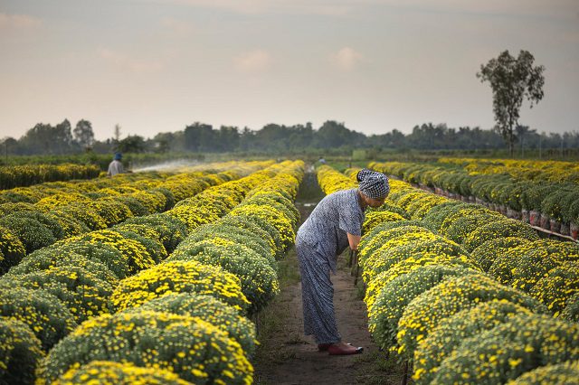 Agricoltura: come la legge sul sovraindebitamento può aiutare le imprese in difficoltà