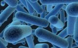 Antibiotici e resistenze batteriche