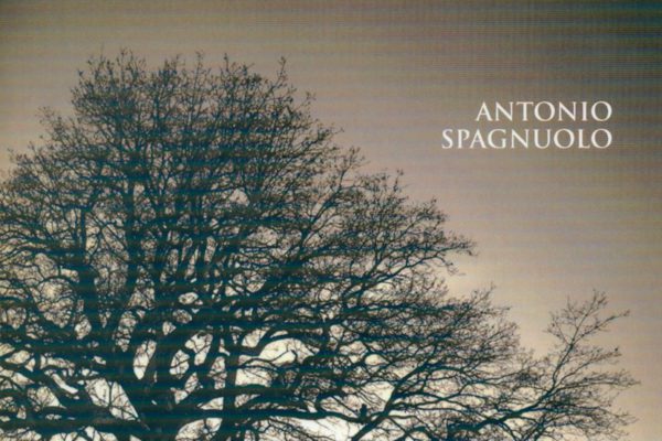 Antonio Spagnuolo: quando la poesia esprime dolore e sofferenza