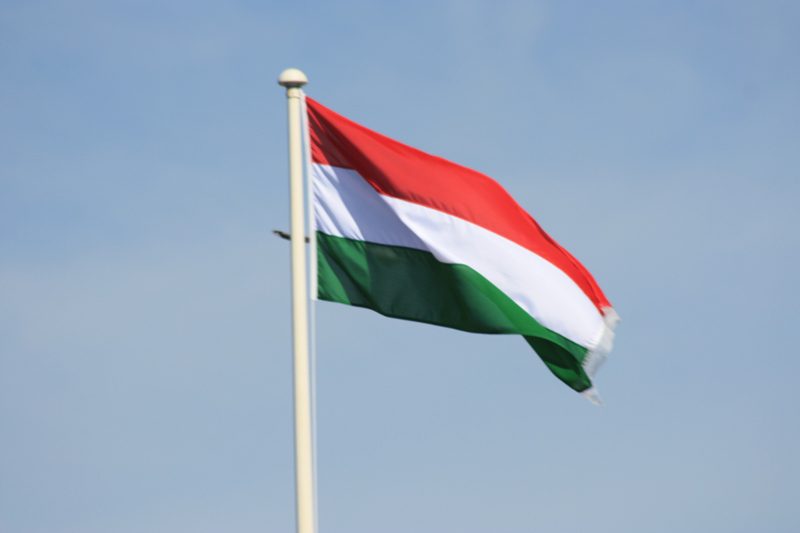 Appello dell'UNICEF all'Ungheria sulle nuove norme sull'incarcerazione
