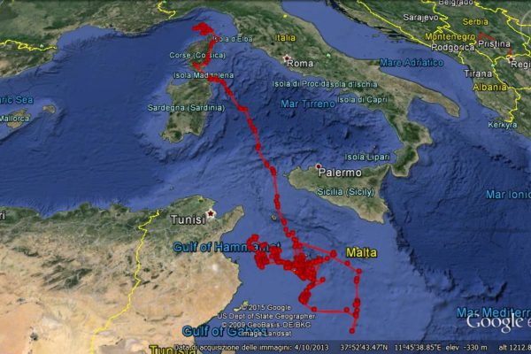Area vulcanica sottomarina nel Canale di Sicilia: un nuovo studio INGV