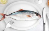 Arriva il primo filetto di pesce probiotico