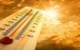 Aumento dei decessi nell'anno più caldo di sempre