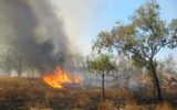 Australia: gli stati orientali in fiamme