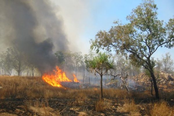 Australia: gli stati orientali in fiamme