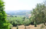 Benevento: per valorizzare le filiere agroalimentari locali