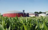 Biogas agricolo: un patto Eni-Coldiretti