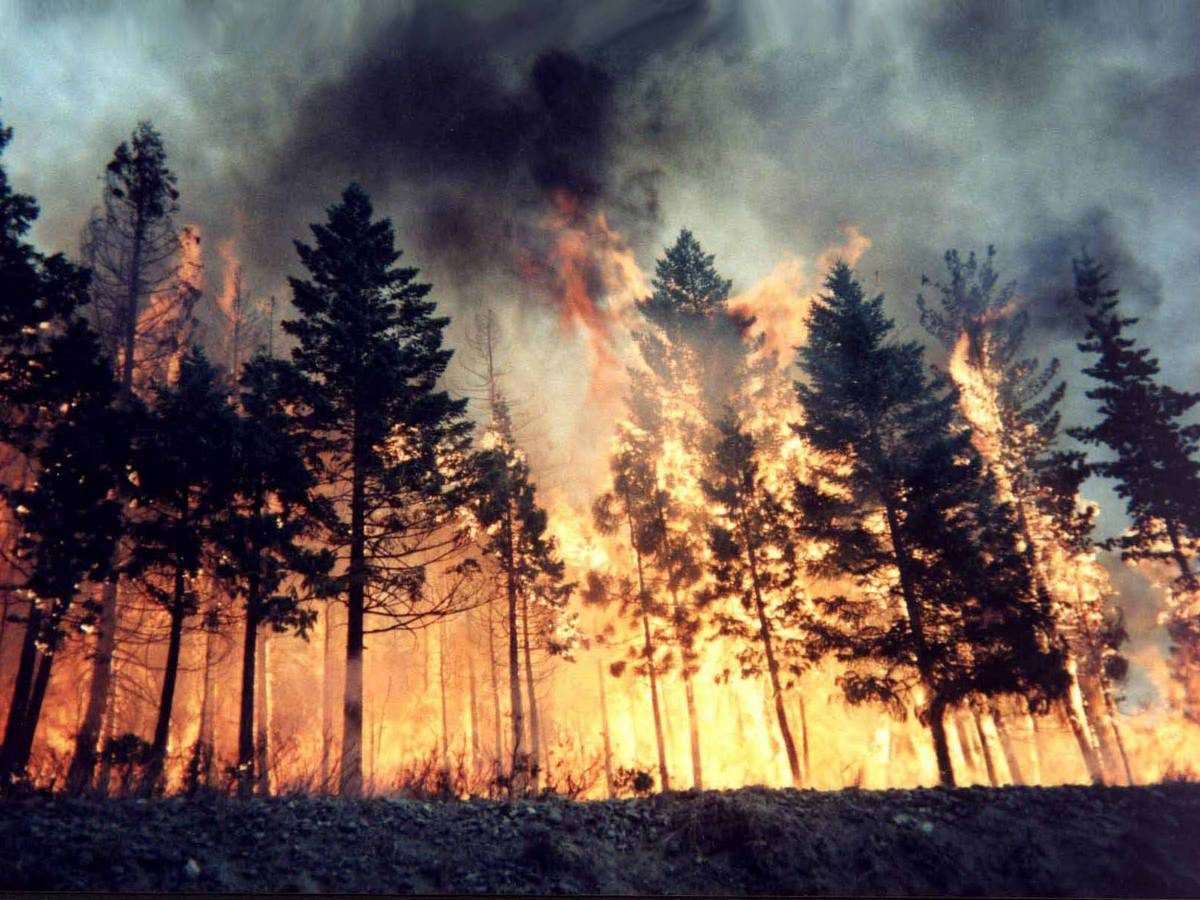 Campania: nuovi fondi per la prevenzione degli incendi boschivi