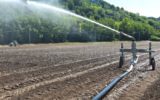 Coltivazioni in sofferenza per il caldo: al via irrigazioni di soccorso