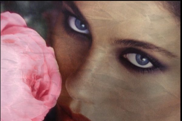 Come riconoscere una donna alfa
