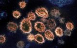 Coronavirus: Save the Children sul decreto Cura Italia