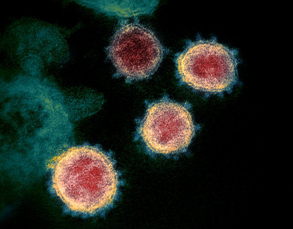 Coronavirus: tra pandemia reale e la paura che corre nel web