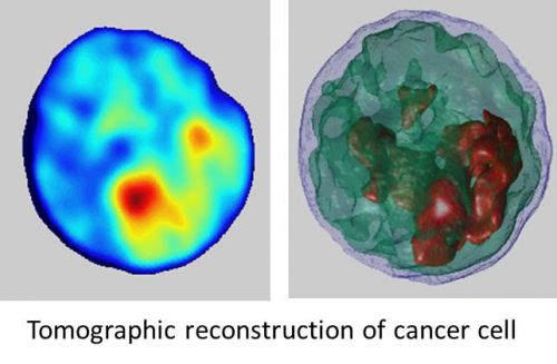 Diagnosi precoce dei tumori: premiata una recente ricerca del Cnr-Isasi di Pozzuoli