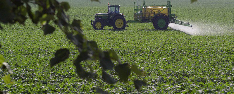 Dimezzati pesticidi nell'agricoltura italiana