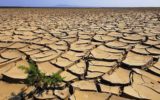 Emergenza siccità in Etiopia