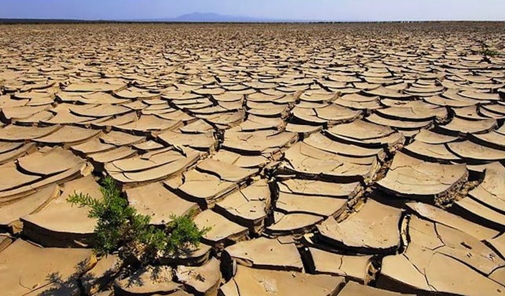 Emergenza siccità in Etiopia