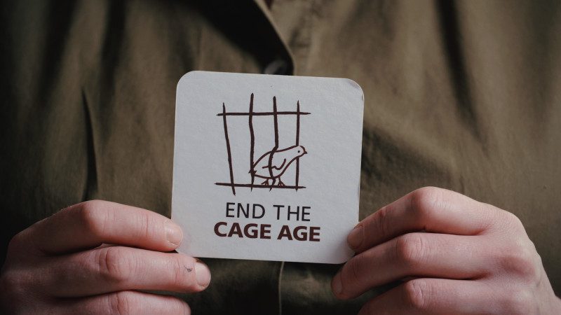 End the Cage Age
