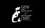 Flamenco Napuleño