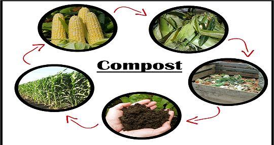 From food to compost