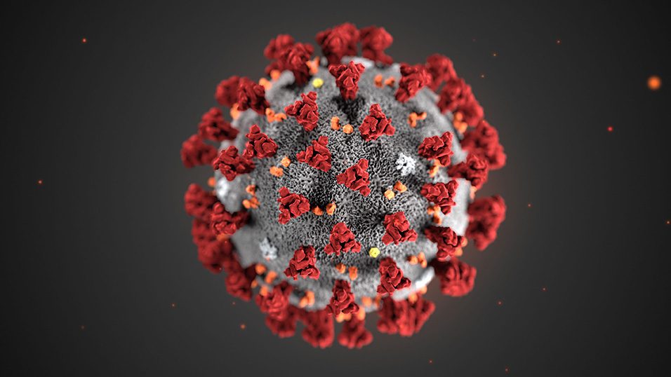 Il Coronavirus e fake news: tra dati reali e falsi allarmi