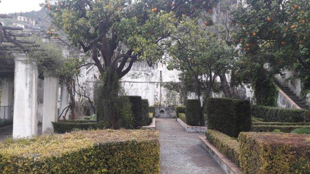 Il Giardino della Minerva: un orto botanico d’eccellenza