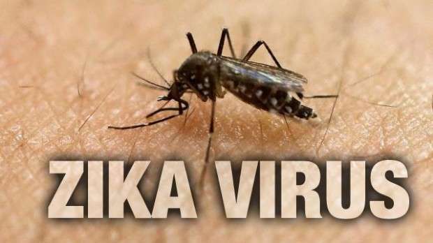 Il primo test veloce per virus Zika