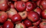 Il succo di mela è un antitumorale?