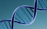 Il test facile del DNA genomico