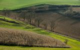 In decrescita la terra coltivabile in Italia