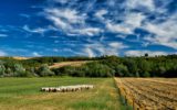 In Italia l'agricoltura più green d'Europa
