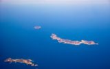 Isole Pontine: scoperta una nuova specie di lucertola