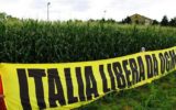 L'80% degli Italiani è d'accordo con la richiesta di bandire gli OGM