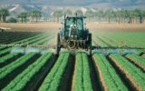 L'agricoltura italiana è la più green d'Europa
