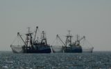 L'UE per la qualità nella pesca