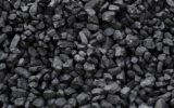 La Befana del WWF dice no al carbone