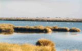 La siccità colpisce il Coto Doñana