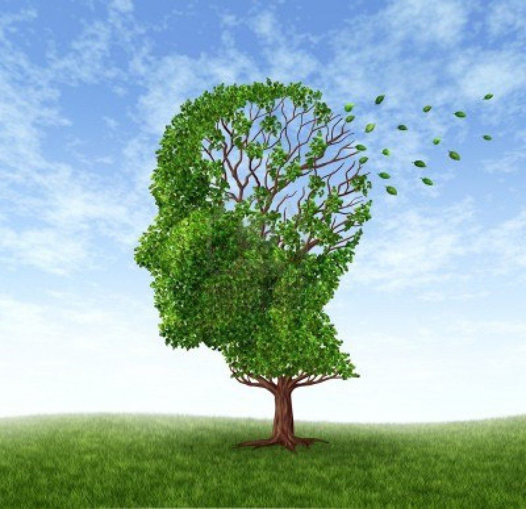 L'ALZHEIMER E LA VITAMINA 'E'