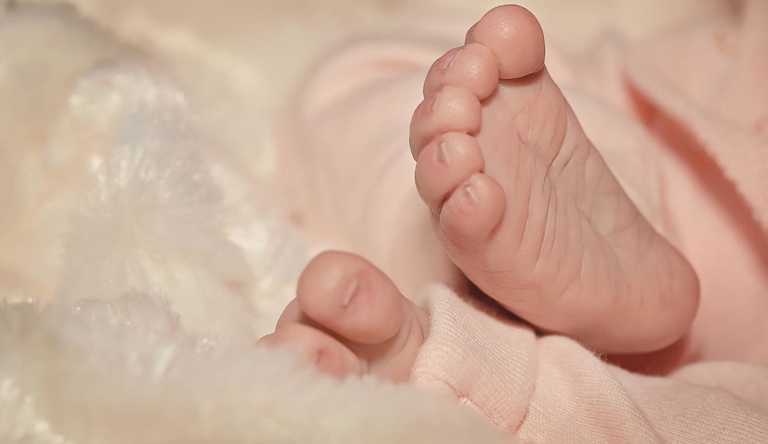 Latte d'asina: alimento ideale per i neonati prematuri