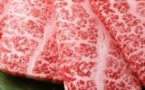 Le carni bovine italiane riconquistano il Giappone