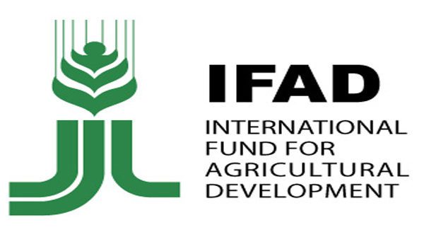 Le migliori pratiche di sviluppo: premio all'IFAD