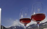 Le novità di Merano WineFestival 2019