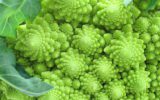 Le proprietà anticancro del broccolo