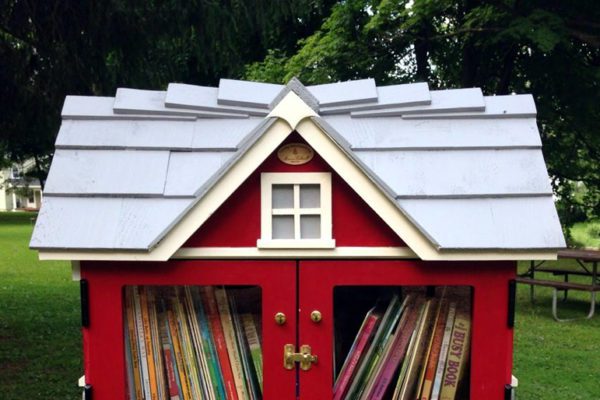 Little Free Library: piccole librerie pubbliche