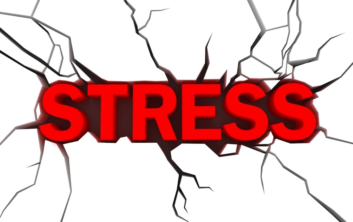 LO STRESS PER PICCOLE COSE ACCORCIA LA VITA! LO STRESS PER PICCOLE COSE ACCORCIA LA VITA!