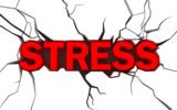 LO STRESS PER PICCOLE COSE ACCORCIA LA VITA!