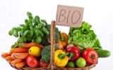 Lo sviluppo dell'alimentazione bio