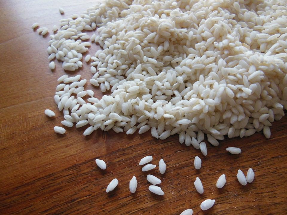 Made in Italy: cresce l'import di riso