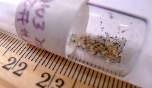 Microplastiche nei cibi più comuni