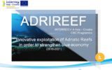 Modelli di business sostenibile per il mare Adriatico
