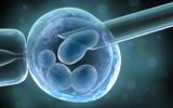 Nuova funzione dei geni nelle cellule staminali embrionali